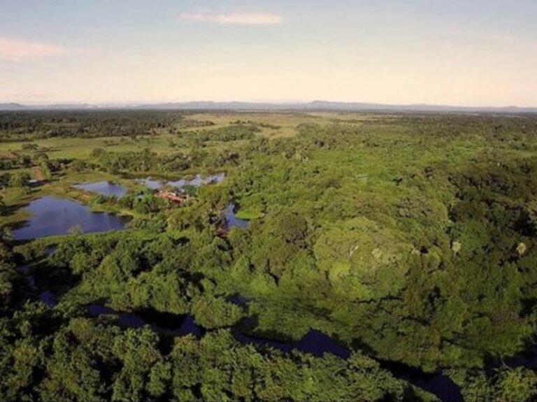 Pantanal Sul