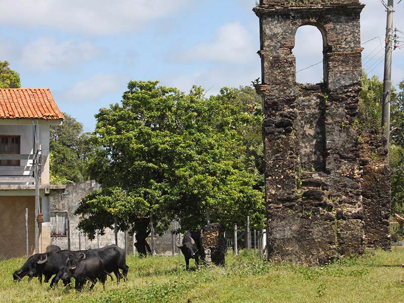 5c38eeeb230da98148b3f90dfa4ad1ca (1)