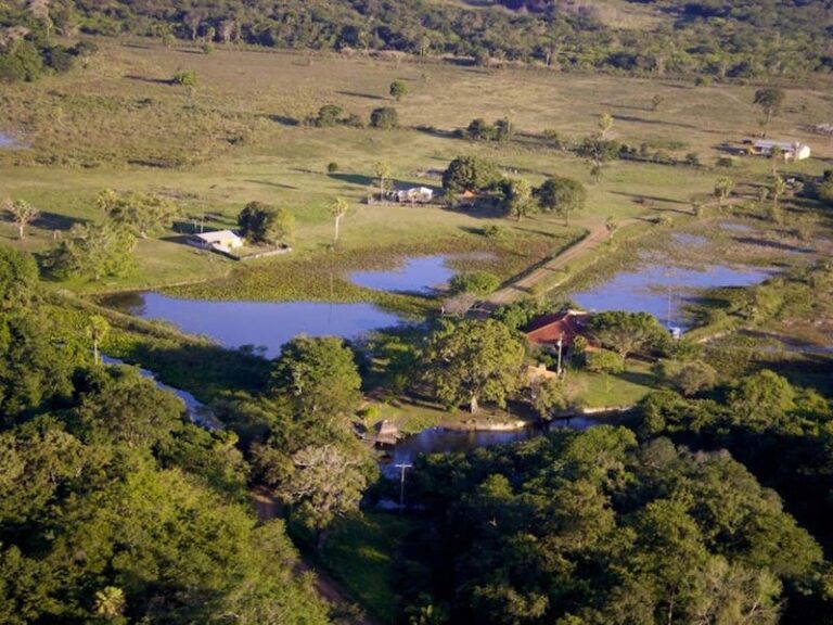 Pantanal Sul