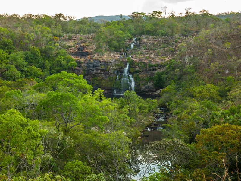 chapada dos veadeiros