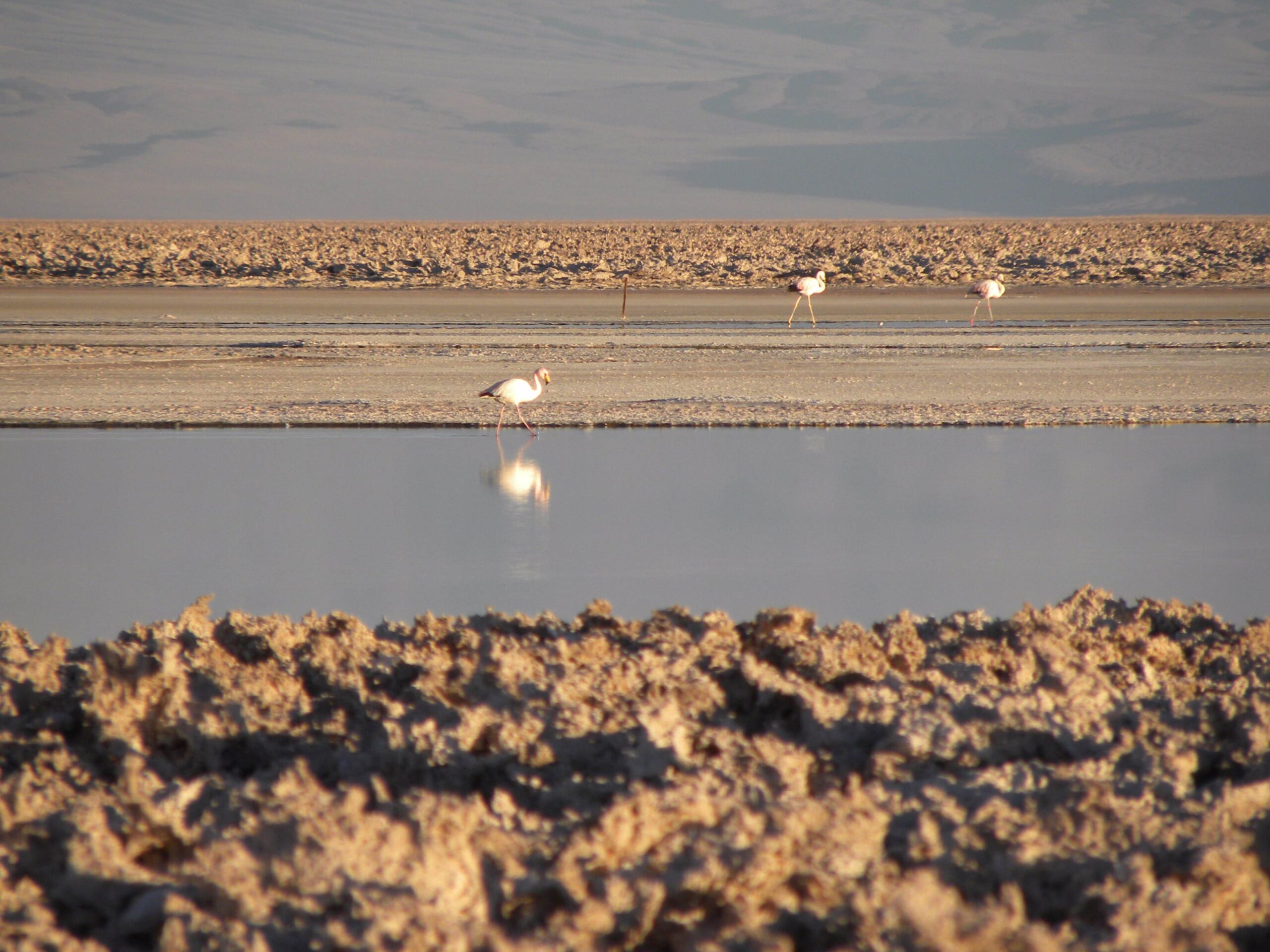 Deserto do atacama