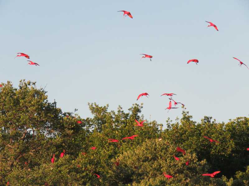 lençois maranhenses