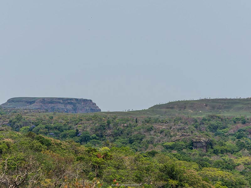 Pantanal Norte e Chapada dos Guimarães