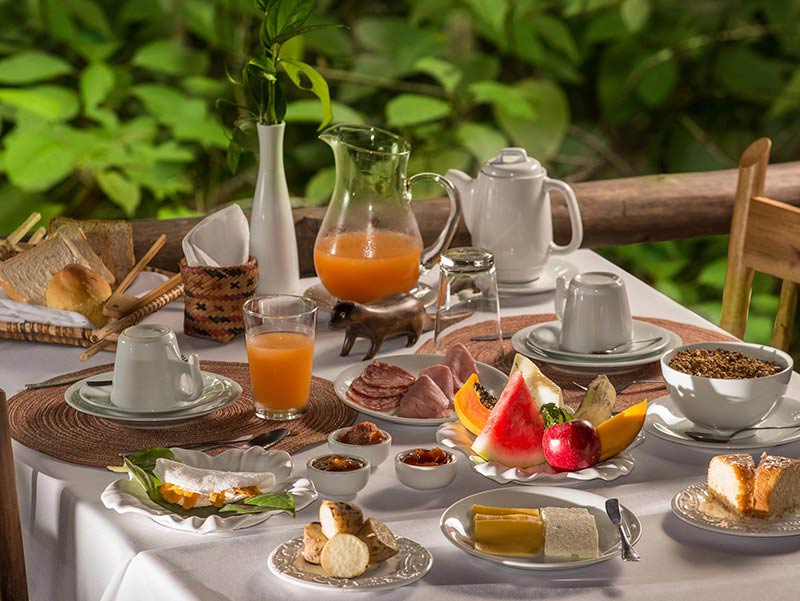 Paisagens Amazônicas com Anavilhanas