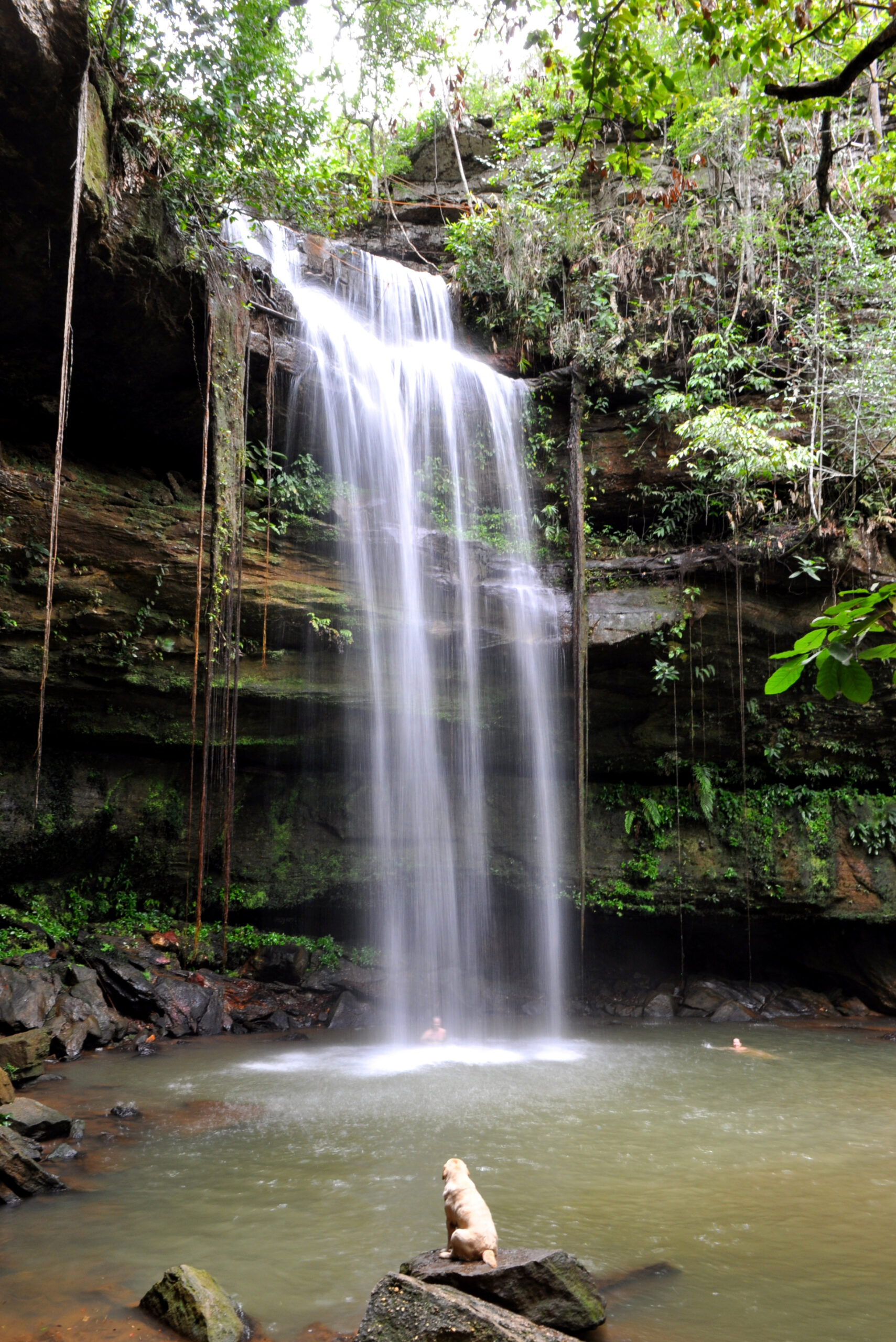 Cachoeira das Araras Fazenda Ecologica