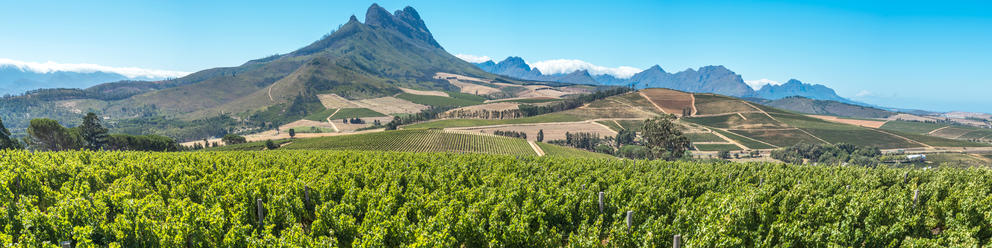 franschhoek-shutterstock-1336156100_b