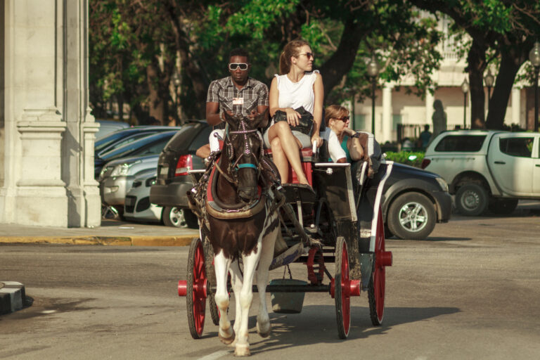Havana - horse carriage, animal, culture, citytour, sightseeing,