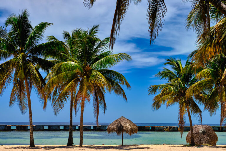 Playa Giron - beach, nature, sun, palm trees