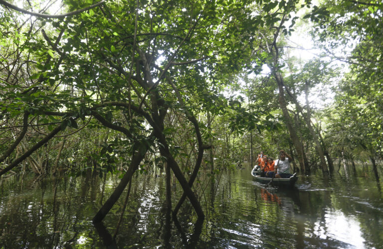 BV Alter do Chão (PA) 27/04/2018 - Cruzeiro das Águas pelo rio Tapajós . Canoagem em Igapó na comunidade Jamaraquá. Foto de Gabriel de Paiva/ Agência O Globo