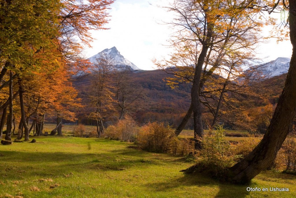 AA-Otonio-en-Ushuaia-34--1024x686