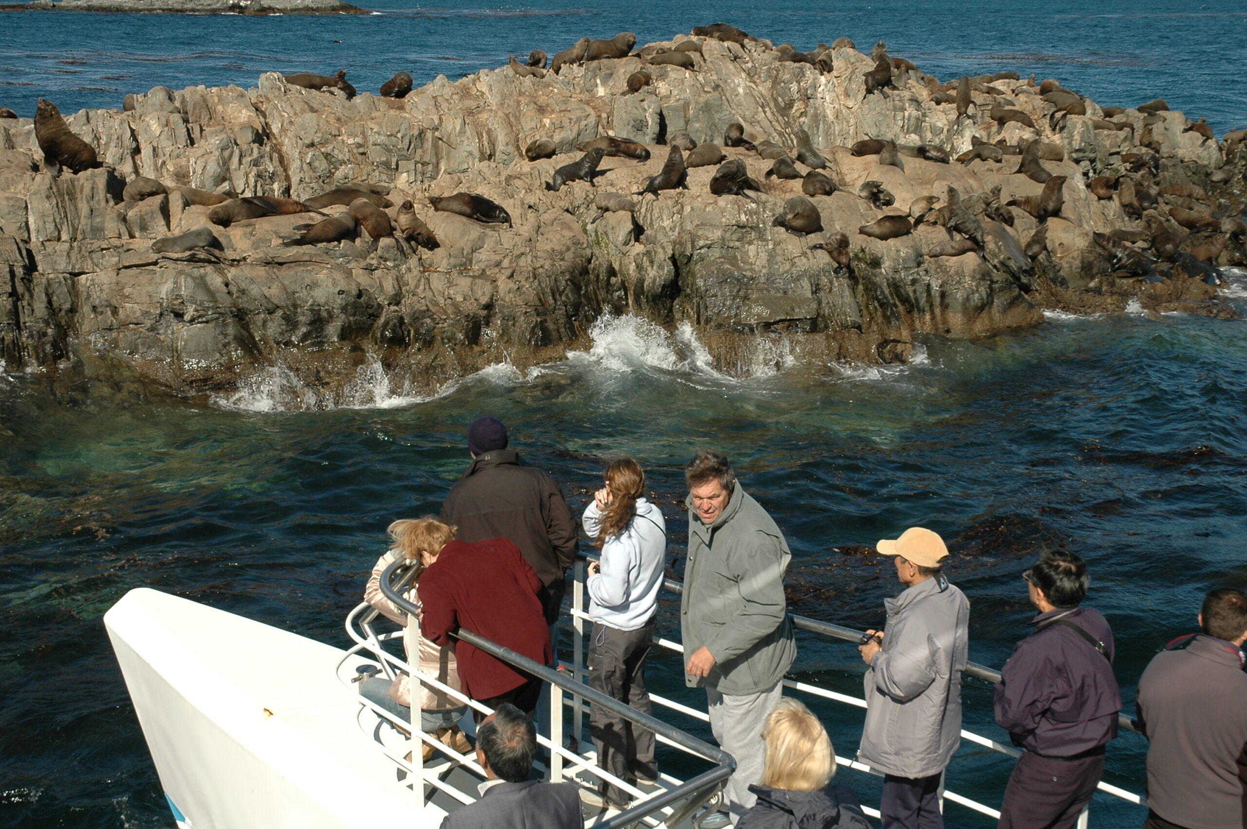 Vista Isla de los lobos 3