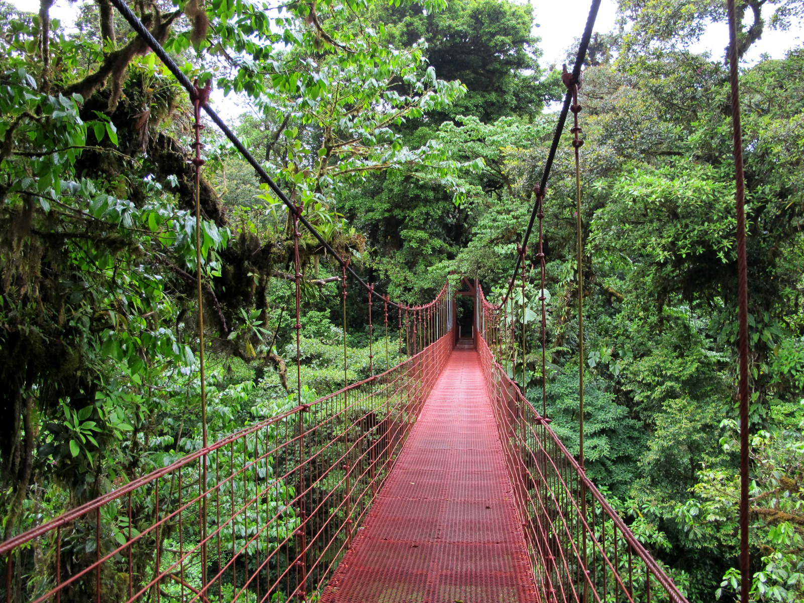 Monteverde 3