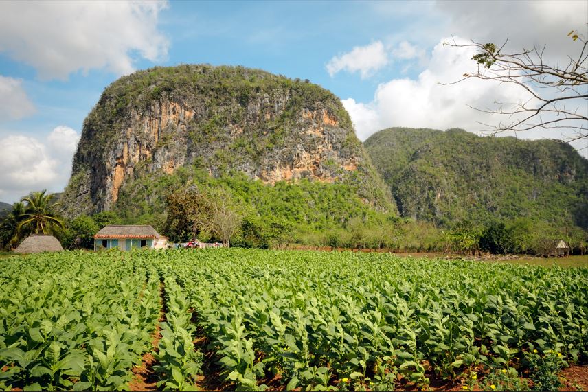 Valle Vinales