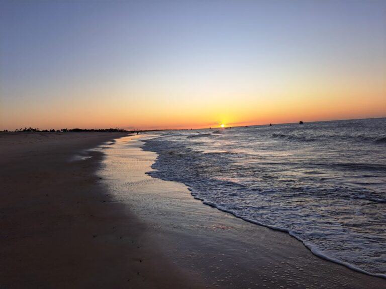 IMG-20231010-WA0105