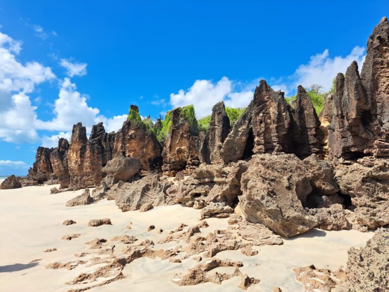IMG-20231010-WA0107