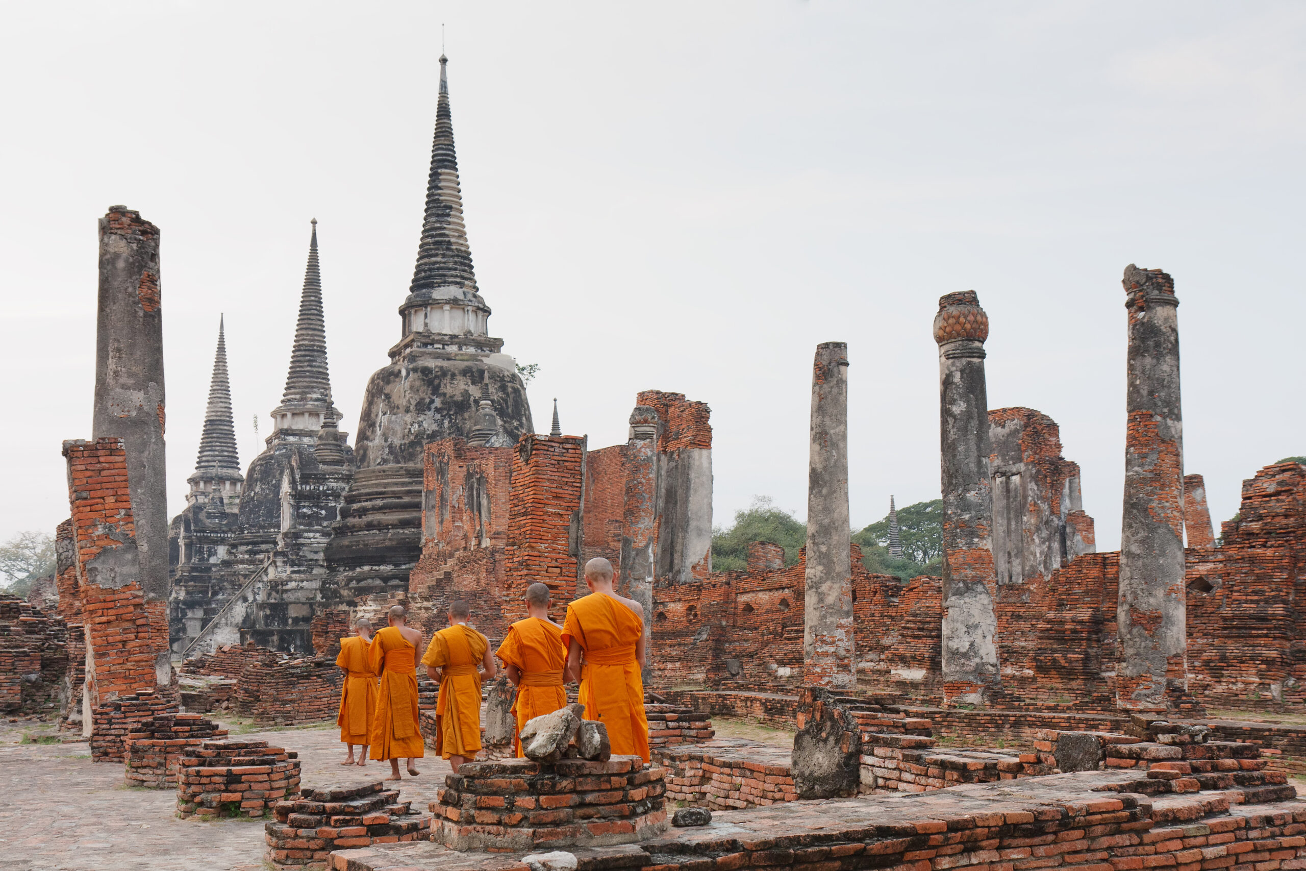 a group of young Buddhist monks
