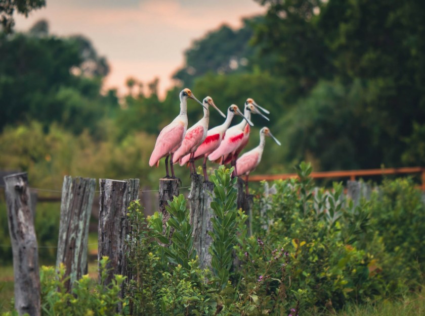 Captura de tela 2025-06-29 170610