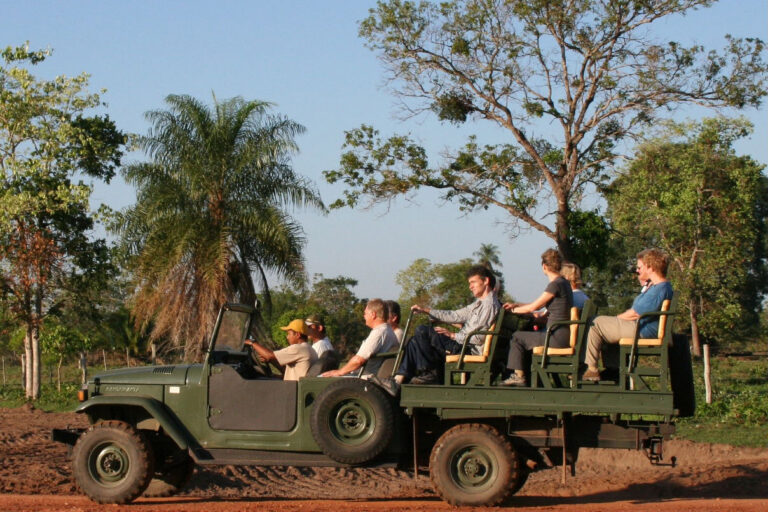 safari fotografico