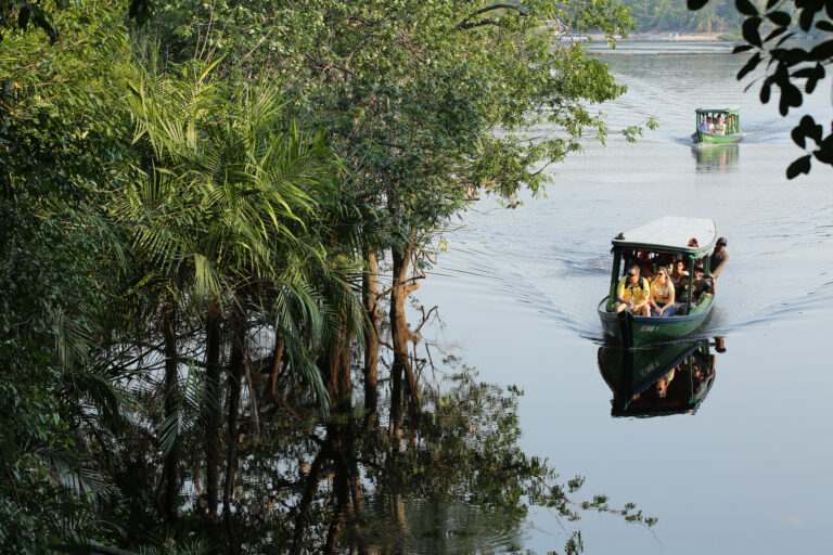 Amazon Ecopark (1)