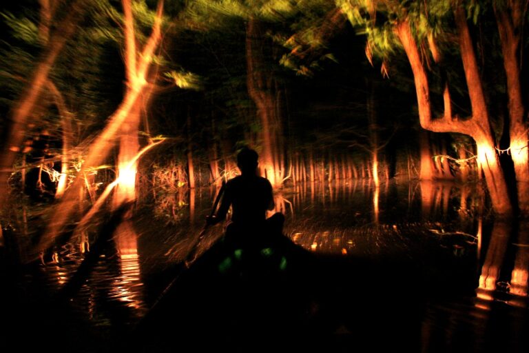 Amazon Ecopark (1)