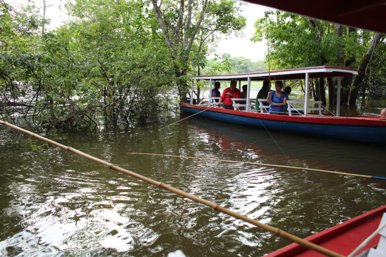 Amazon Ecopark (2)