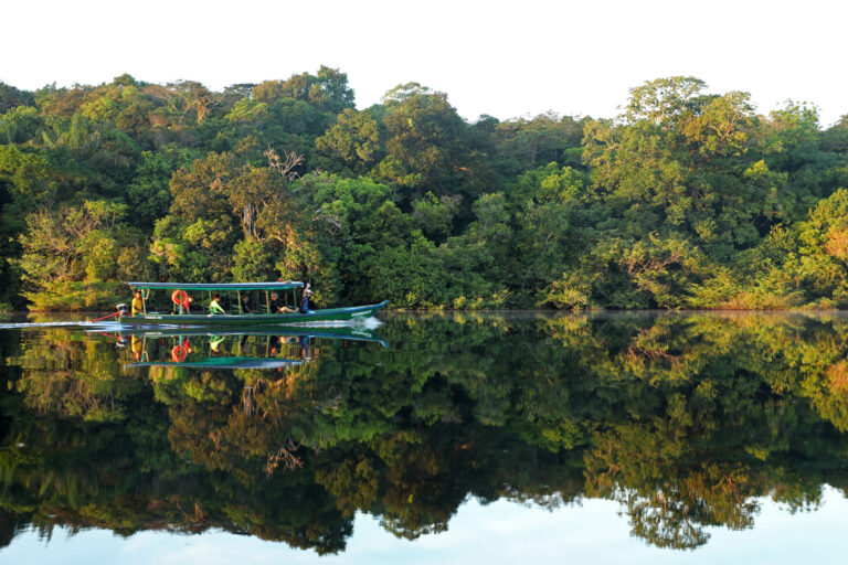 Amazon Ecopark (4)