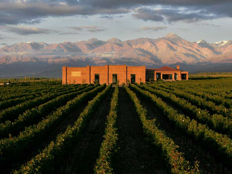 Bodega Andeluna
