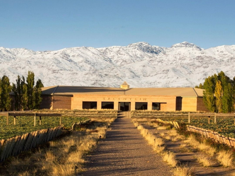 bodega Salentein