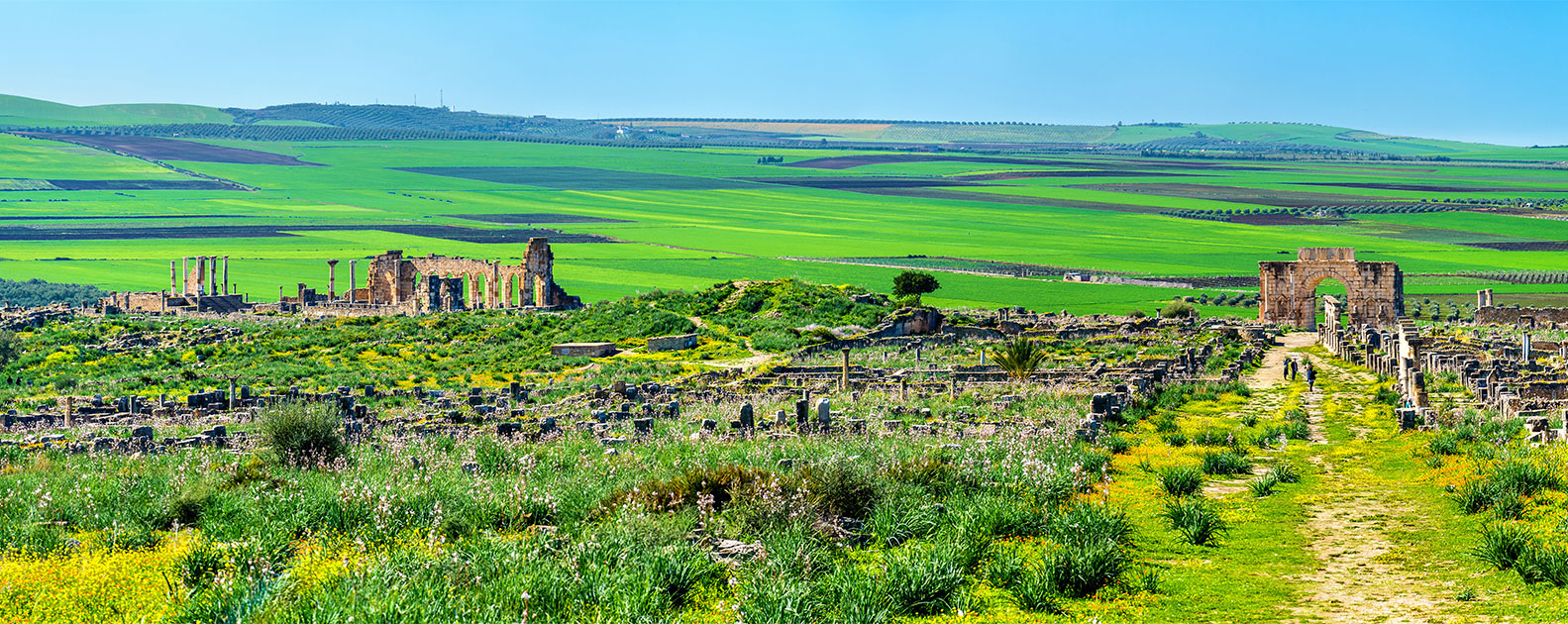 volubilis