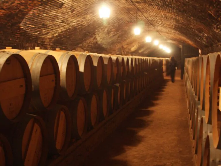 209c1152b895c532862553940828089e-768x576