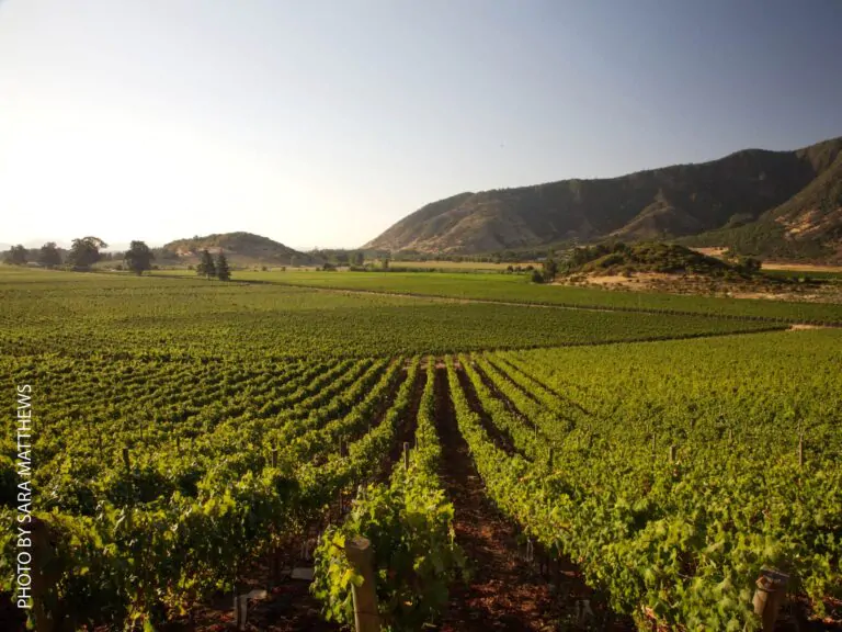 c8dcaf3b1c961a2b6ce1c52315bd9e54-768x576