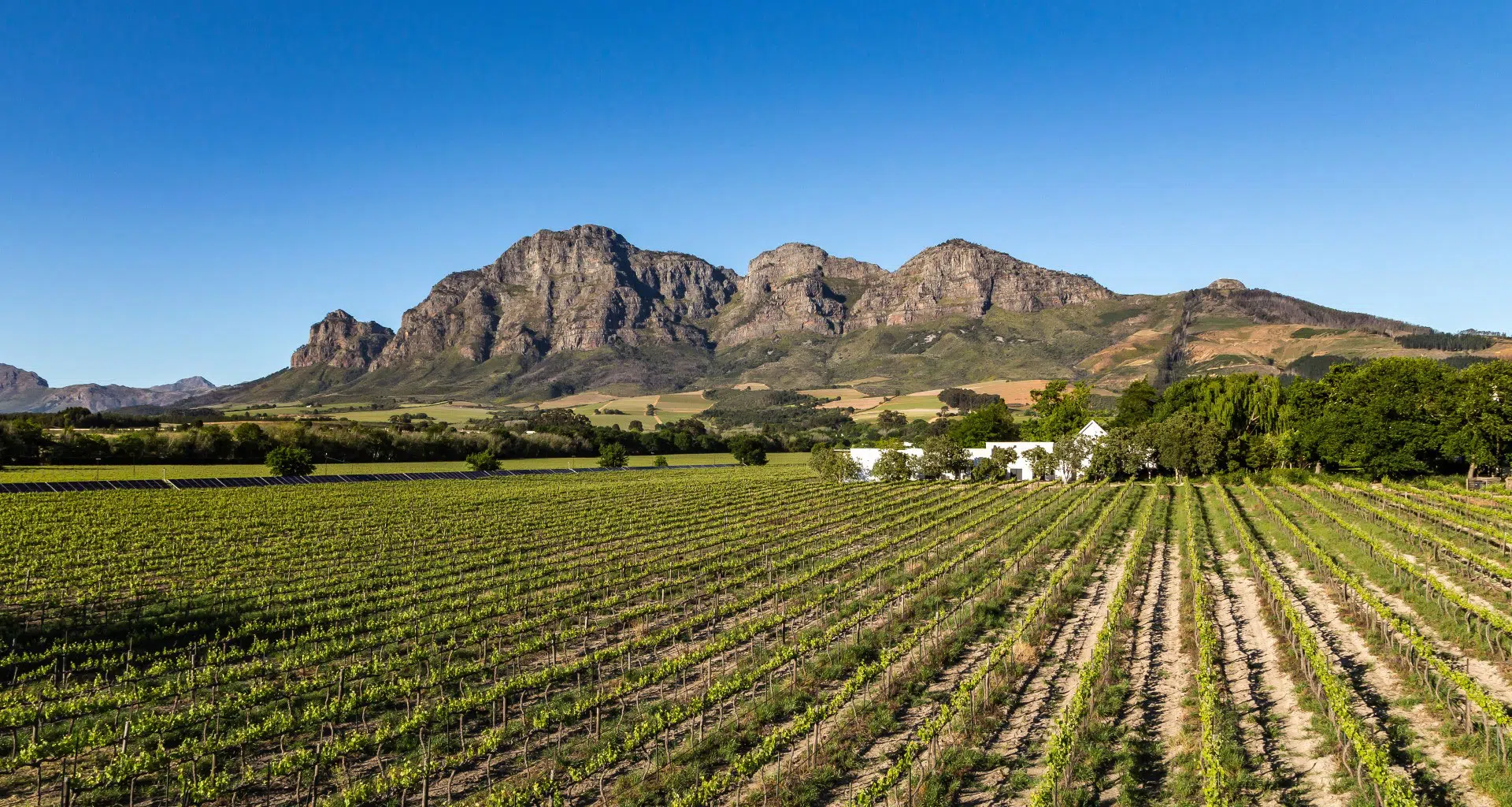 Franschhoek_Winetram_015_Sharpened